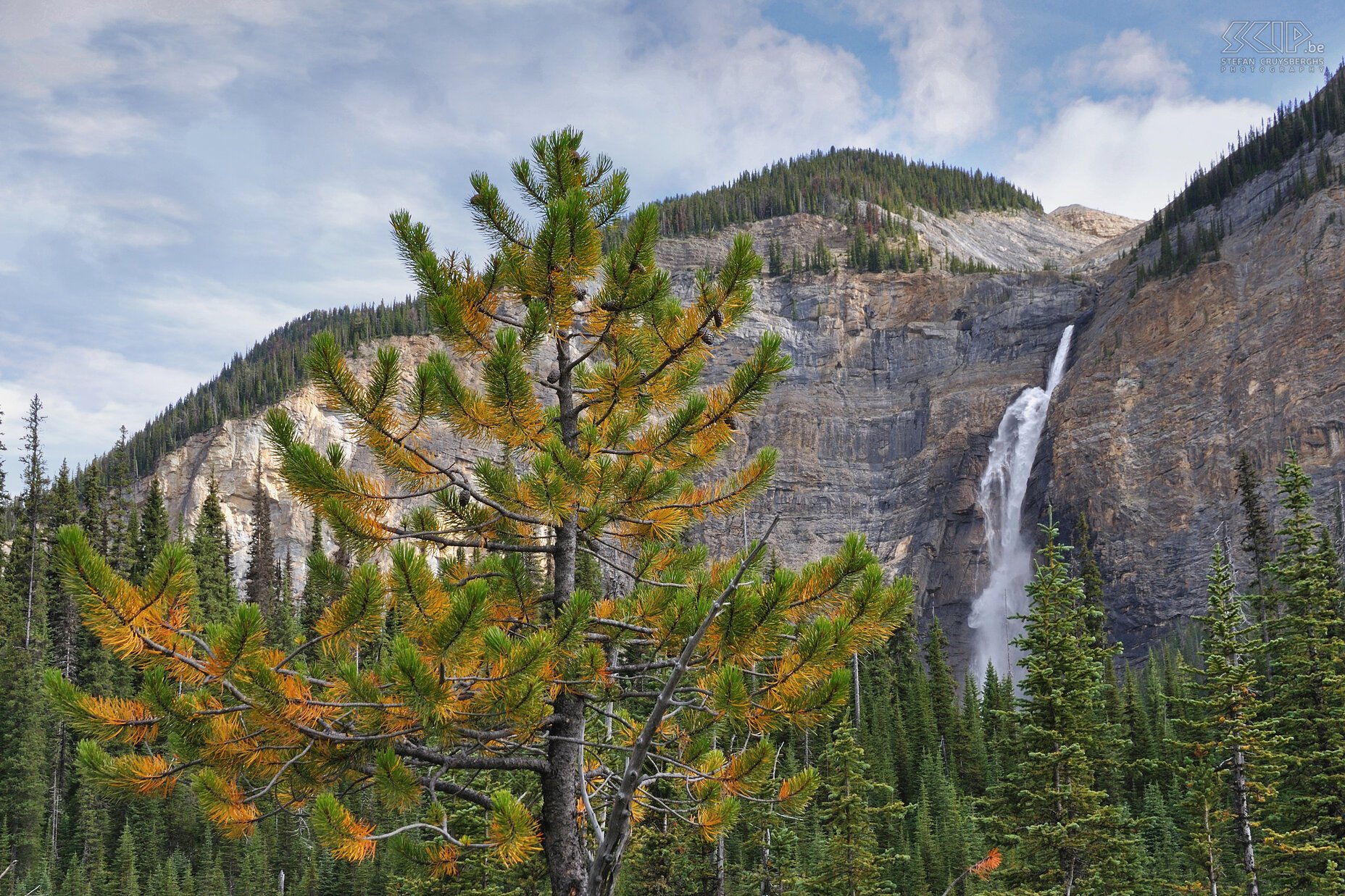 Yoho NP - Takkakaw Falls De Takkakaw Falls (245m) in Yoho NP zijn de hoogste watervallen van Canada. Stefan Cruysberghs